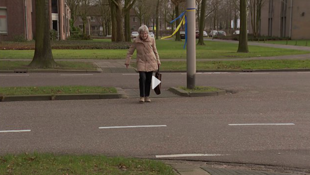 Veilige oversteek raadhuislaan.png