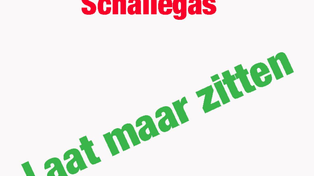 Schaliegas Nee