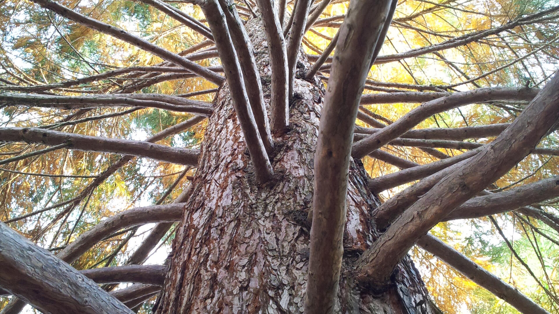 20130908_172107.jpg
