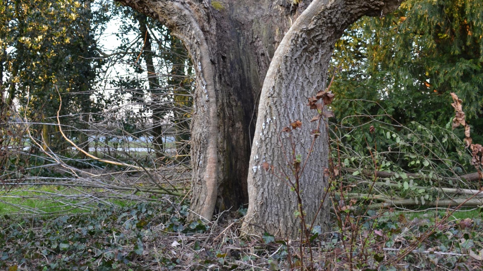 DSC_0478b.jpg
